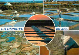 Metiers - Marais Salants - Saliculture - Saliculteurs - Sauniers - Paludiers - La Récolte Du Sel - Multivues - CPM - Voi - Other & Unclassified