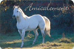 Format Spécial - 120 X 80 Mms - Animaux - Chevaux - Carte Neuve - Frais Spécifique En Raison Du Format - CPM - Voir Scan - Horses