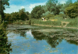 80 - Quend Plage Les Pins - Etang Du Camping De La Dune Fleurie - Le Coin Des Pêcheurs - Flamme Postale De Rue - CPM - V - Quend