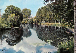 79 - Thouars - Les Bords Du Thouet - CPM - Voir Scans Recto-Verso - Thouars