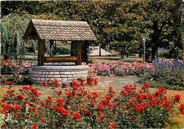 69 - Lyon - Parc De La Tete D'Or - La Roseraie - Fleurs - CPM - Voir Scans Recto-Verso - Autres & Non Classés