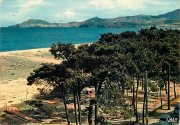 66 - Argelès Sur Mer - Les Pins   La Plage   Au Fond Les Albères - CPM - Voir Scans Recto-Verso - Argeles Sur Mer