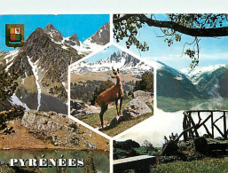 65 - Hautes Pyrénées - Multivues - CPM - Voir Scans Recto-Verso - Sonstige & Ohne Zuordnung