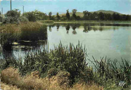 42 - Montbrison - Environs De Montbrison - Etangs Du Roy - CPM - Voir Scans Recto-Verso - Montbrison