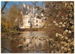 37 - Azay Le Rideau - Le Château - Carte Neuve - CPM - Voir Scans Recto-Verso - Azay-le-Rideau