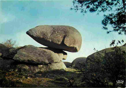 23 - Boussac - Environs De Boussac - Les Pierres Jaunatres - La Balançoire - Carte Neuve - CPM - Voir Scans Recto-Verso - Boussac