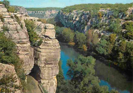 07 - Ruoms - Les Gorges De L'Ardèche - Le Défilé De Ruoms - CPM - Voir Scans Recto-Verso - Ruoms