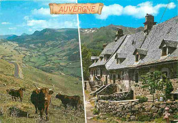 Animaux - Vaches - Auvergne - Sur Les Monts Du Cantal - Multivues - Flamme Postale - CPM - Voir Scans Recto-Verso - Cows