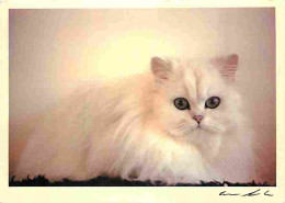 Animaux - Chats - Carte Neuve - CPM - Voir Scans Recto-Verso - Cats