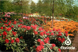 Pays-Bas - Nederland - Floriade - Internationale Tuinbouwtentoonstelling - L'Exposition Horticole Internationale - Weltb - Weert