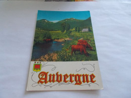 VALLEE DE LA CHEYLADE  LE PUY MARY ( 15 Cantal ) TROUPEAU VACHES DANS LA RIVIERE ET HABITATIONS 1973 - Autres & Non Classés