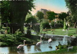 03 - VICHY - LE PARC -  FLAMANTS ROSES - Vichy