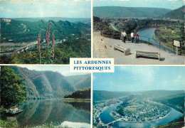 08 - LES ARDENNES PITTORESQUES - Other & Unclassified