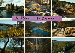 19 - JE FLANE... EN CORREZE - Sonstige & Ohne Zuordnung