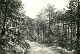 48 - BAGNOLS LES BAINS - LA FORET DE LA LOUBIERE - Autres & Non Classés