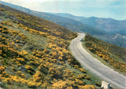 48 - LOZERE - SYMHONIE CEVENOLE - Otros & Sin Clasificación