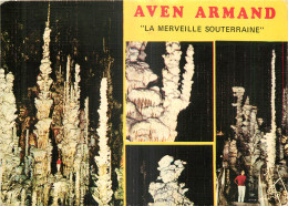 48 - L'AVEN ARMAND - LOZERE - CAUSSE MEJEAN - Other & Unclassified