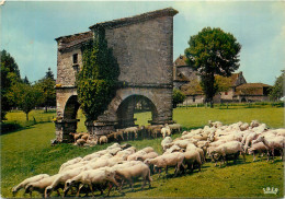 46 -  VIEUX PIGEONNIER QUERCYNOIS - Autres & Non Classés