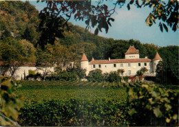 46 - CHATEAU DE CAIX - PROPRIETE DE LA REINE ET DU PRINCE DU DANEMARK - Other & Unclassified