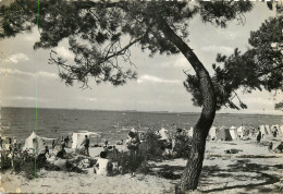 17 - RONCE LES BAINS - LA PLAGE - Autres & Non Classés