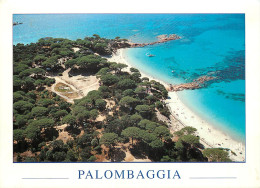 20 - LA CORSE -  PALOMBAGGIA - Other & Unclassified