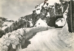 88 - LES VOSGES PITTORESQUES - TUNNEL  ET COL DE LA SCHLUCHT - Autres & Non Classés