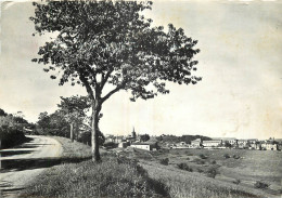 42 -  GRAMMOND - VUE GENERALE  - ROUTE DE ST ETIENNE ST SYMPHORIEN - Sonstige & Ohne Zuordnung