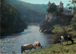 42 -  LES GORGES DE LA LOIRE - LE CHATEAU DE LA ROCHE - Sonstige & Ohne Zuordnung