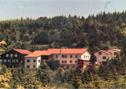 42 - LE BESSAT - LE CHALET DES ALPES - Other & Unclassified