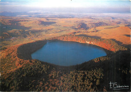  63 - AUVERGNE - LAC PAVIN - Other & Unclassified