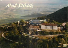 67 - MONT SAINTE ODILE - Sainte Odile