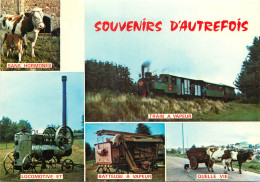 SOUVENIR D'AUTREFOIS - AUTRE EPOQUE A LA CAMPAGNE - Trains