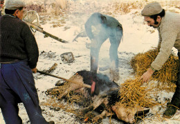 NOS VIEUX METIERS - LA TUAILLE - Paesani