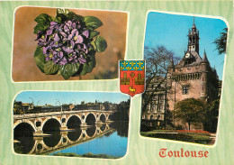 31 - TOULOUSE - MULTIVUES - Toulouse