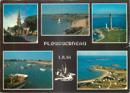 29 - PLOUGUERNEAU - LILIA - Plouguerneau