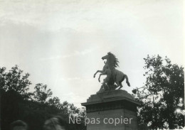 PARIS Vers 1960 Chevaux De Marly CHAMPS-ELYSÉES CONCORDE PHOTO 14 X 20 Cm - Lieux