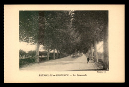 13 - PEYROLLES - LA PROMENADE - Peyrolles