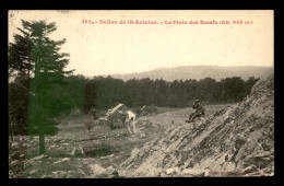 90 - BALLON DE ST-ANTOINE - LE PLAIN DES BOEUFS - Otros & Sin Clasificación