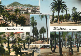 83 - SOUVENIR D'HYERES  - Hyeres