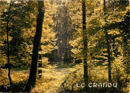 29 - LA FORET DU CRANOU  - Other & Unclassified