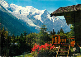 74 - LE MASSIF DU MONT BLANC - Andere & Zonder Classificatie