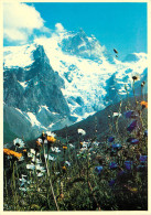  73 - PHOTO BERNARD GRANGE - VALLOIRE - Sonstige & Ohne Zuordnung