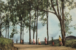 VOYAGE DU ROI AU CONGO ÉTÉ 1955 Le Long De La Route Allant D'Usumbura à Muramvya - Belgisch-Kongo