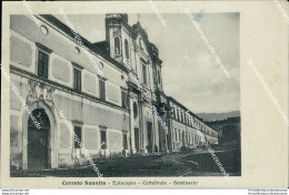 Bq599 Cartolina Cerreto Sannita Episcopio Cattedrale Seminario Benevento - Benevento