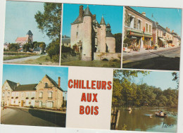 LD61 : Loiret :  CHILLEURS  Aux  Bois - Sonstige & Ohne Zuordnung