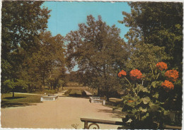 LD61 : Tarn Et Garonne :  NEGREPELISSE : Parc Du Château  De Longues  Aygues  1967 - Negrepelisse