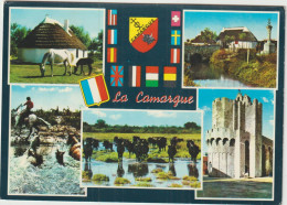 LD61 : Bouches Du Rhône : LA  CAMARGUE : Vues , Gardian , Chevaux - Autres & Non Classés