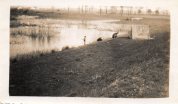 PHOTO  RARE  -  ROCHEFORT -  FOSSES  AUX  MATS - Février 1939  -  Pecheurs à La Ligne . - Places