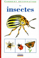 Les Insectes (1999) De Anne Baudier - Animales