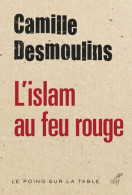 L'islam Au Feu Rouge (2015) De Camille Desmoulins - Kino/Fernsehen